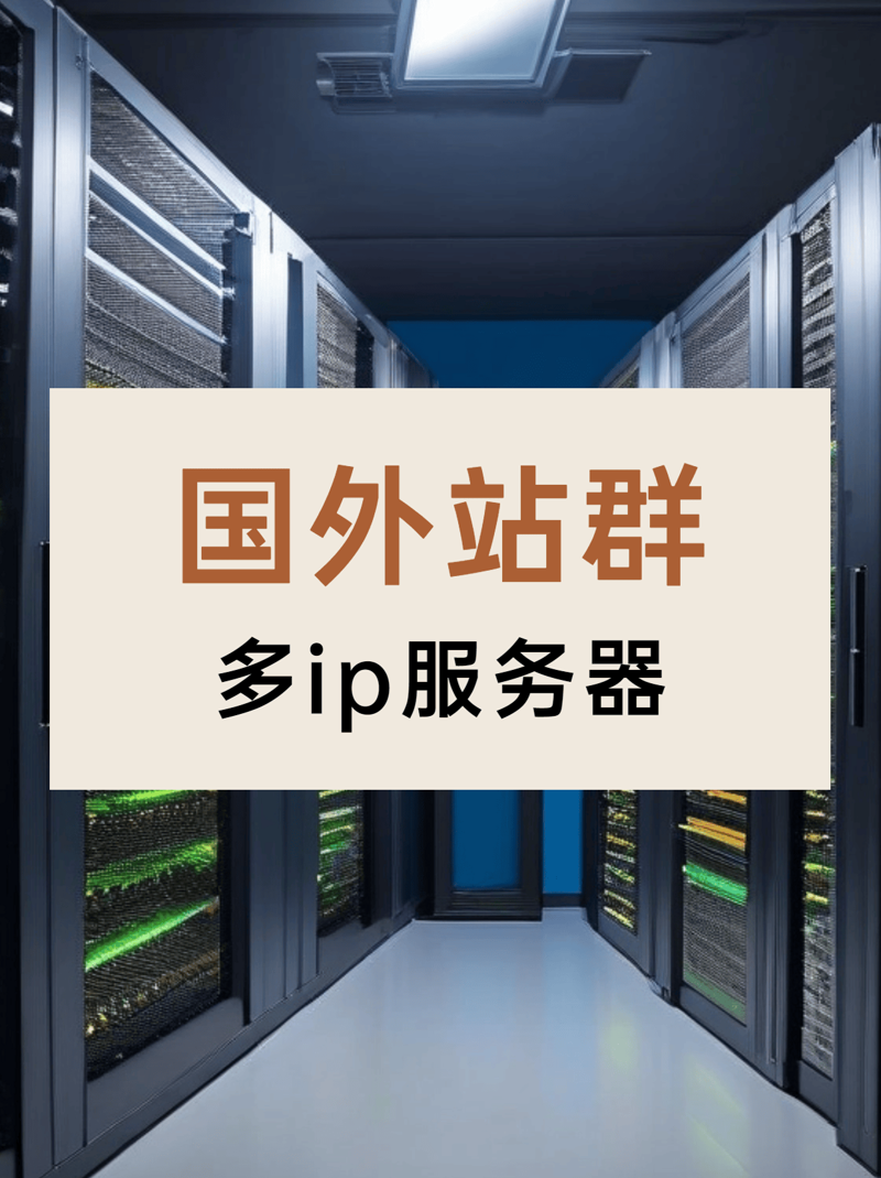 站群程序出售市场趋势与投资策略